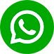 icon: whatsapp